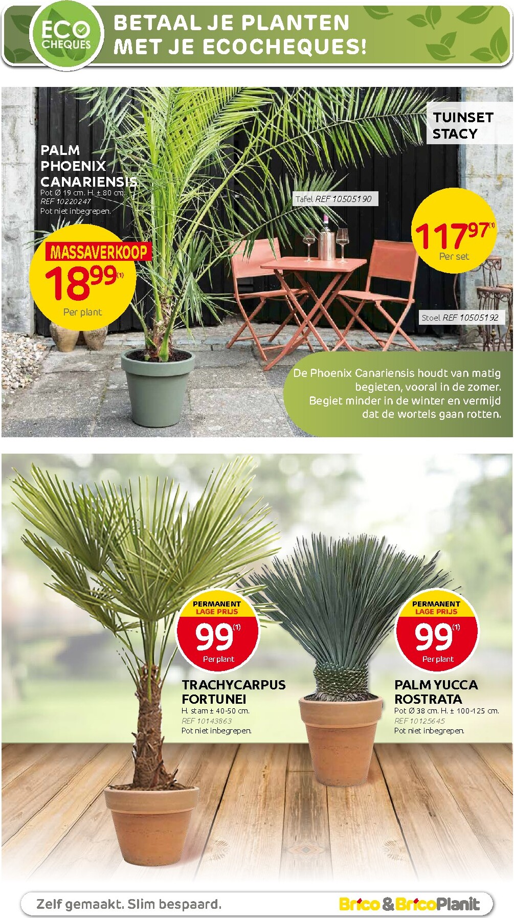 brico - Huidige Brico - Plantjesmarkt folder geldig van woensdag 01/04/2026 tot zondag 31/05/2026 - page: 11