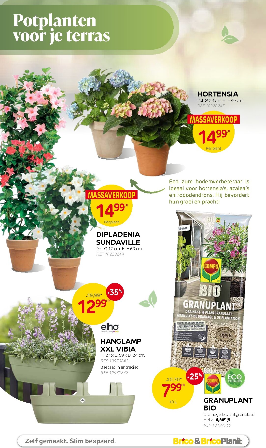 brico - Huidige Brico - Plantjesmarkt folder geldig van woensdag 01/04/2026 tot zondag 31/05/2026 - page: 2