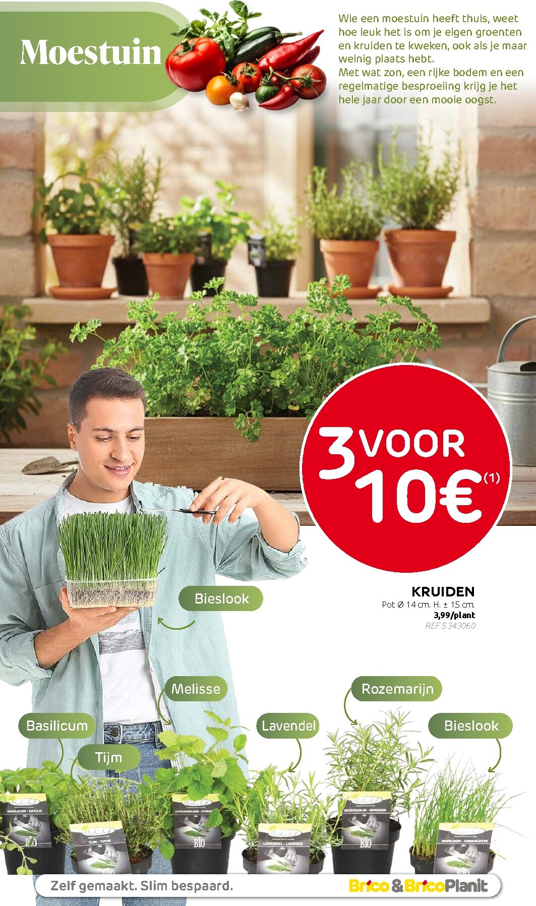 brico - Huidige Brico - Plantjesmarkt folder geldig van woensdag 01/04/2026 tot zondag 31/05/2026 - page: 12