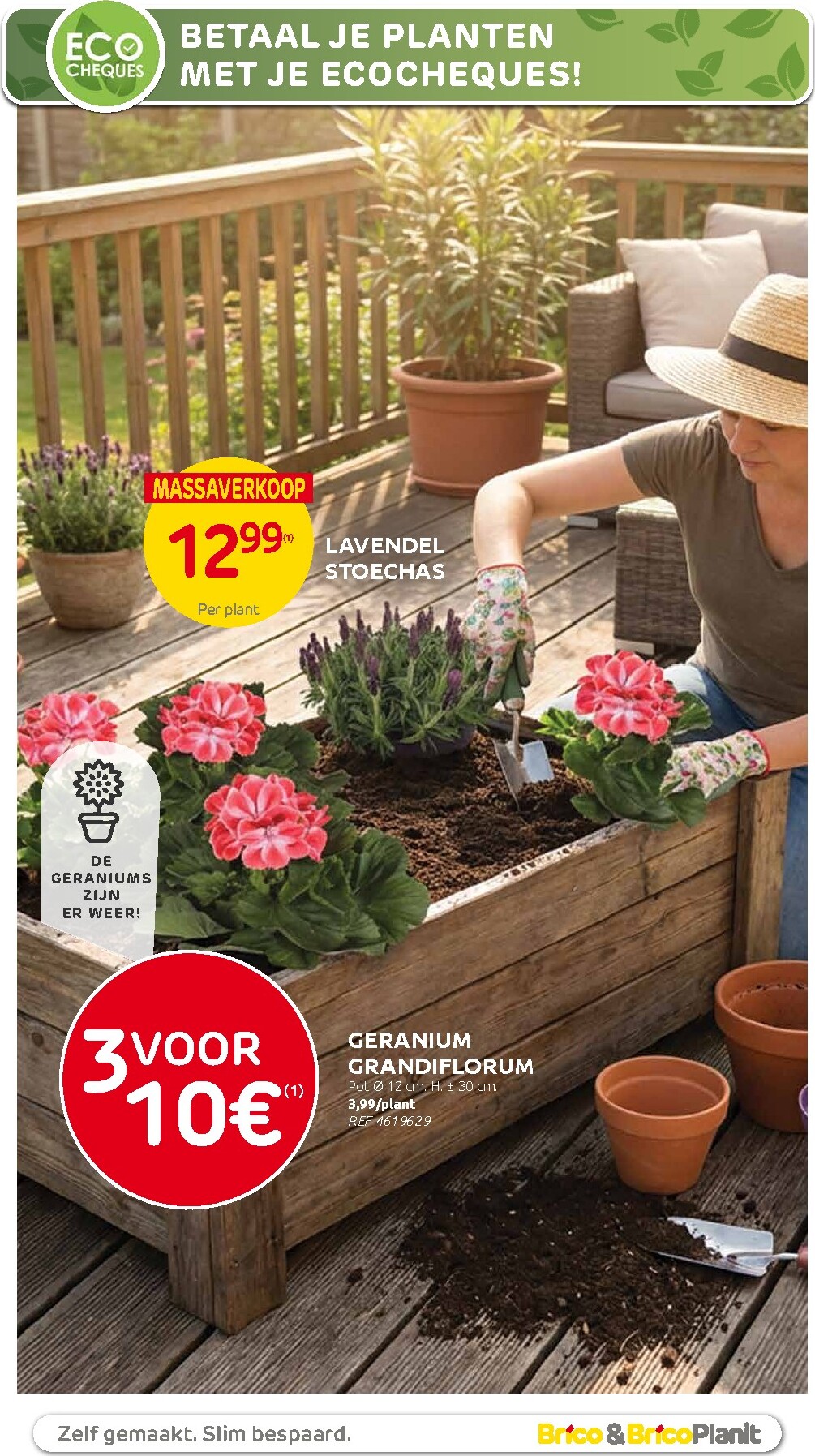 brico - Huidige Brico - Plantjesmarkt folder geldig van woensdag 01/04/2026 tot zondag 31/05/2026 - page: 5