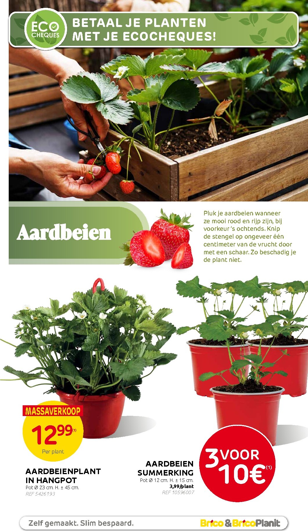 brico - Huidige Brico - Plantjesmarkt folder geldig van woensdag 01/04/2026 tot zondag 31/05/2026 - page: 15