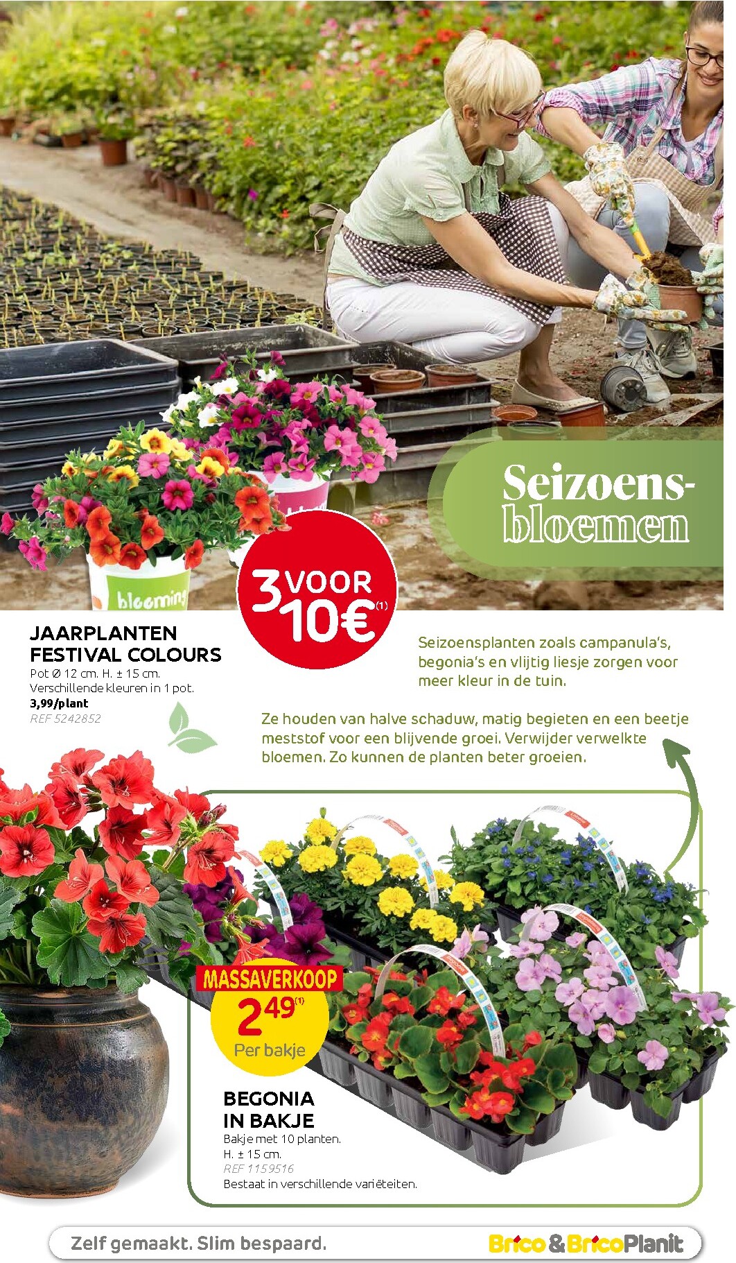 brico - Huidige Brico - Plantjesmarkt folder geldig van woensdag 01/04/2026 tot zondag 31/05/2026 - page: 6