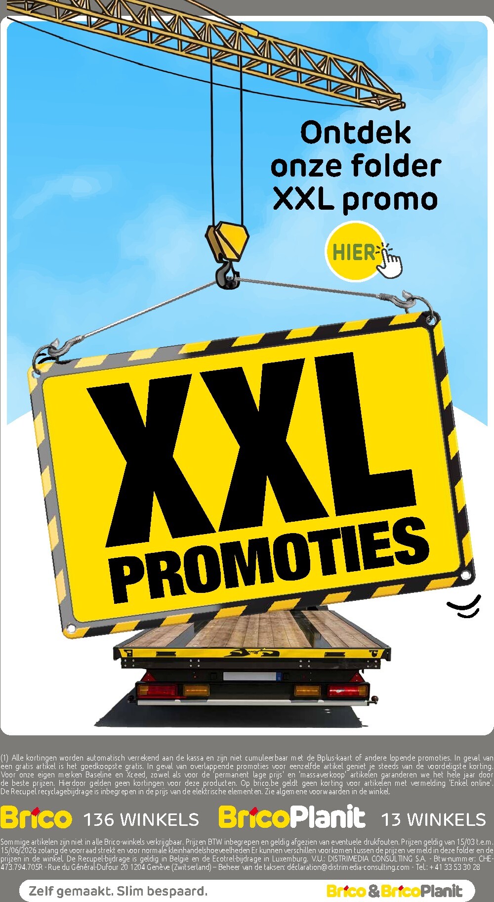 brico - Huidige Brico - Spring Deals folder geldig van zondag 15/03/2026 tot maandag 15/06/2026 - page: 29