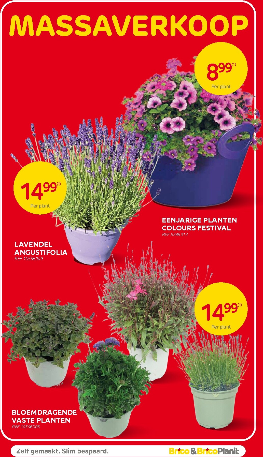 brico - Toekomstige Brico folder geldig van woensdag 13/05/2026 tot zondag 24/05/2026 - page: 19