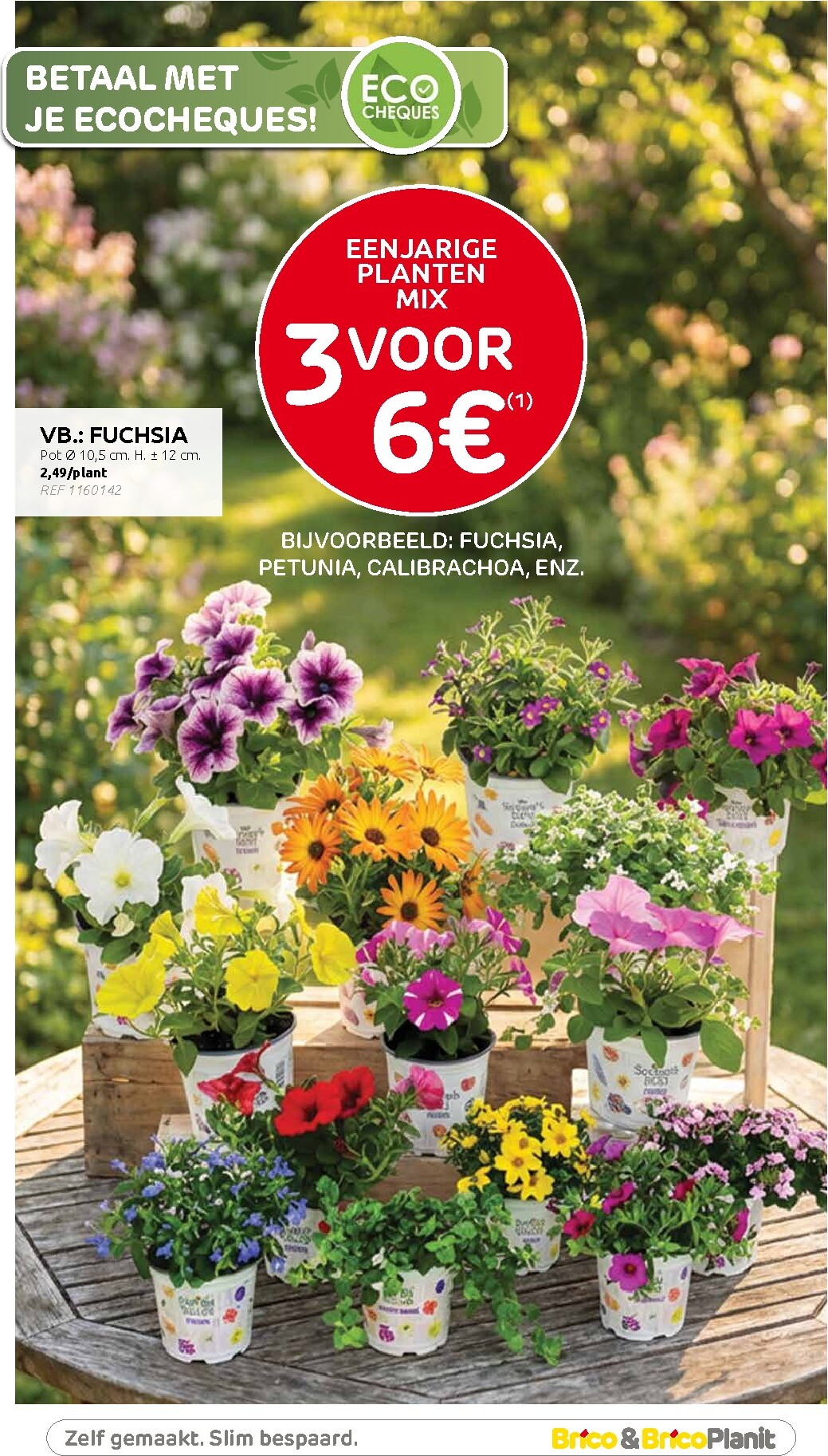 brico - Toekomstige Brico folder geldig van woensdag 13/05/2026 tot zondag 24/05/2026 - page: 18