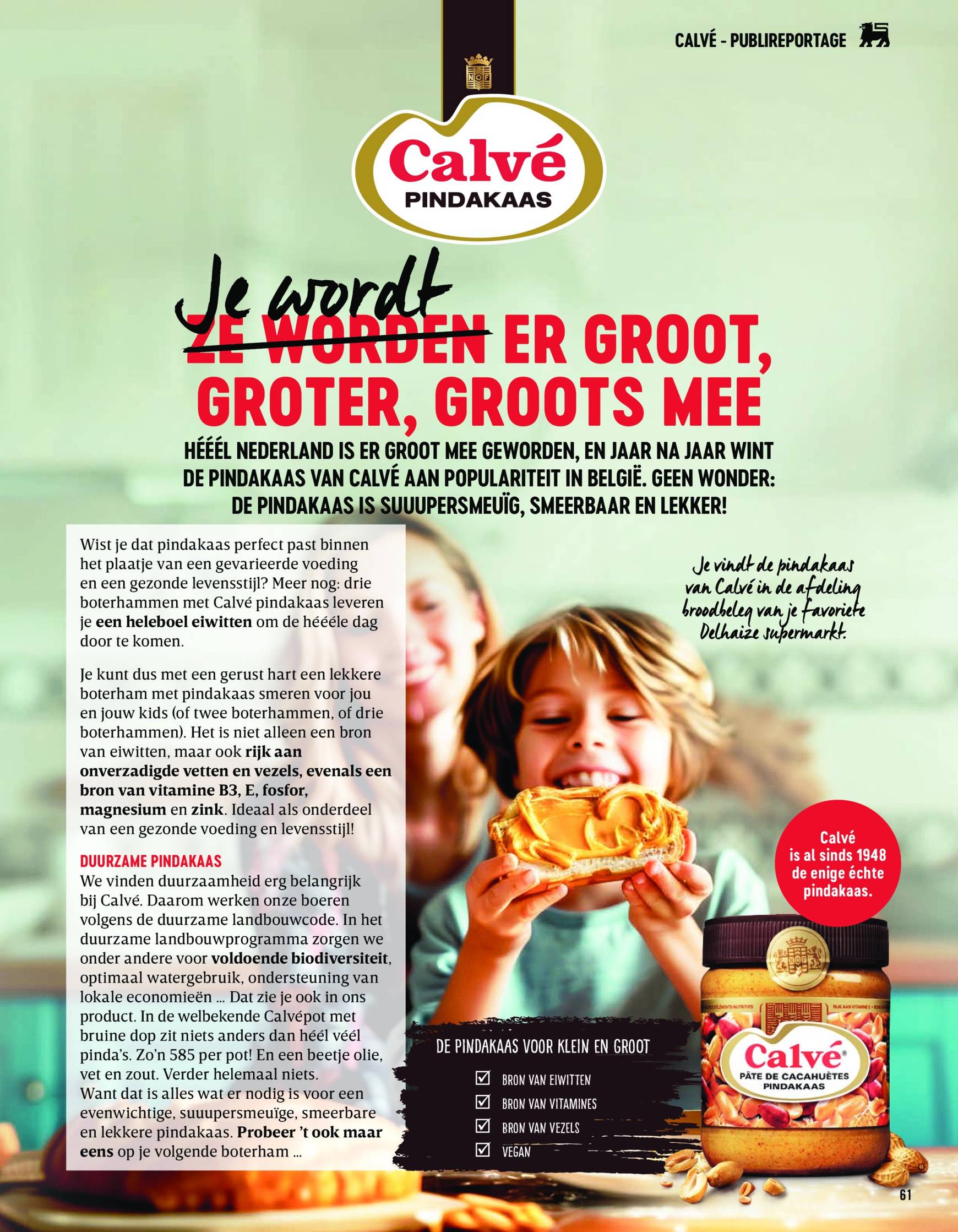 delhaize - Delhaize - Comfort Food folder geldig vanaf 01/12 - 31/12 - page: 61