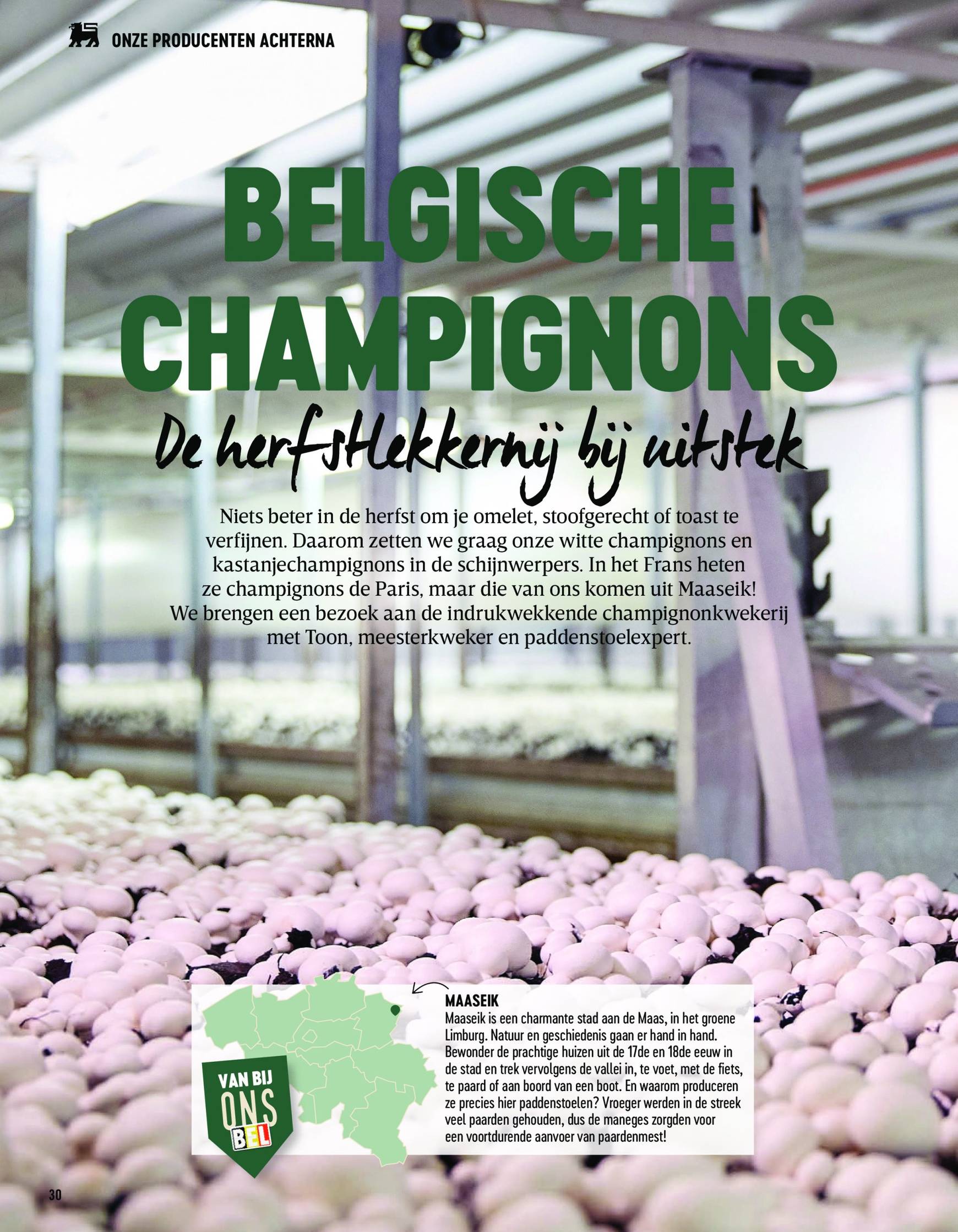 delhaize - Delhaize - Comfort Food folder geldig vanaf 01/12 - 31/12 - page: 30