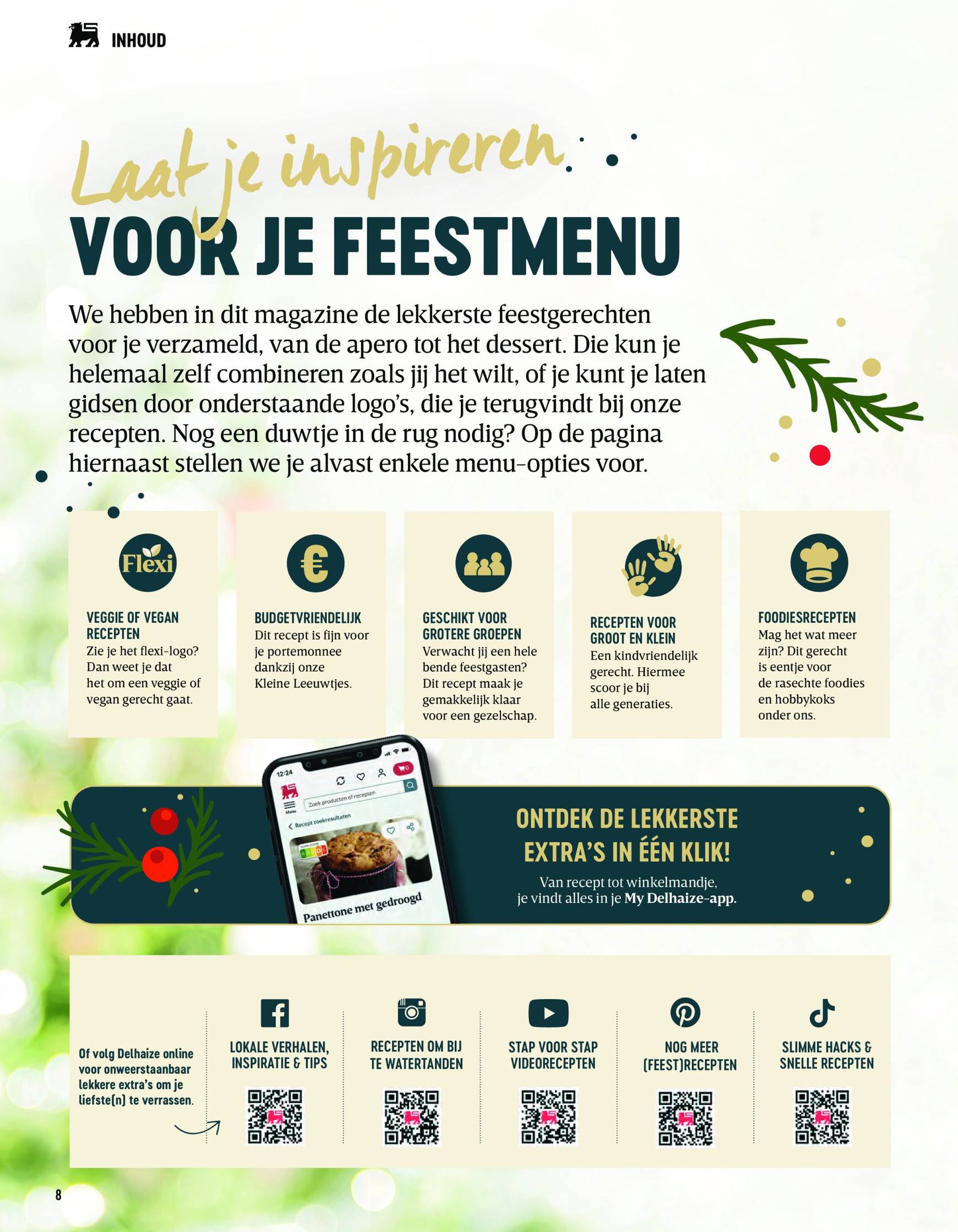 delhaize - Delhaize - Lekkere Feesten folder geldig vanaf 07/11 - 15/01 - page: 8