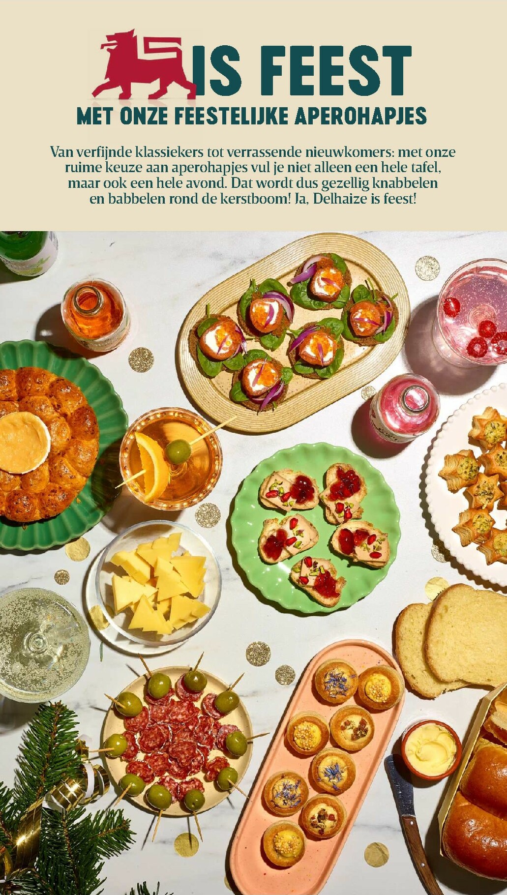 delhaize - De Delhaize folder geldig vanaf 04/12 t/m 10/12 - page: 9