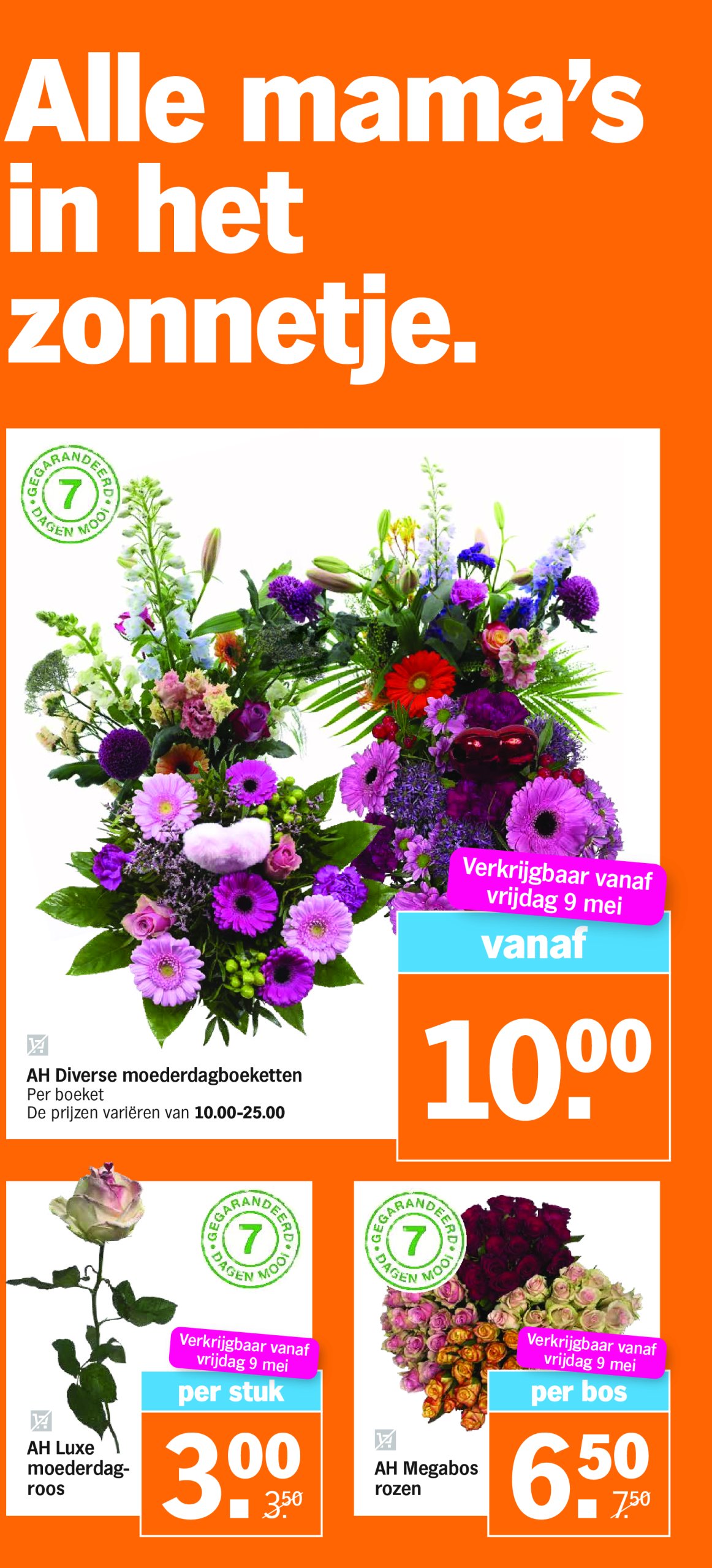 albert-heijn - Albert Heijn folder geldig vanaf 05/05 - 11/05 - page: 32 albert-heijn - Albert Heijn folder geldig vanaf 05/05 - 11/05 - page: 32