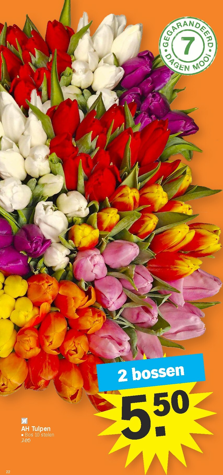 albert-heijn - De Albert Heijn folder geldig vanaf 12/01 t/m 18/01 - page: 22