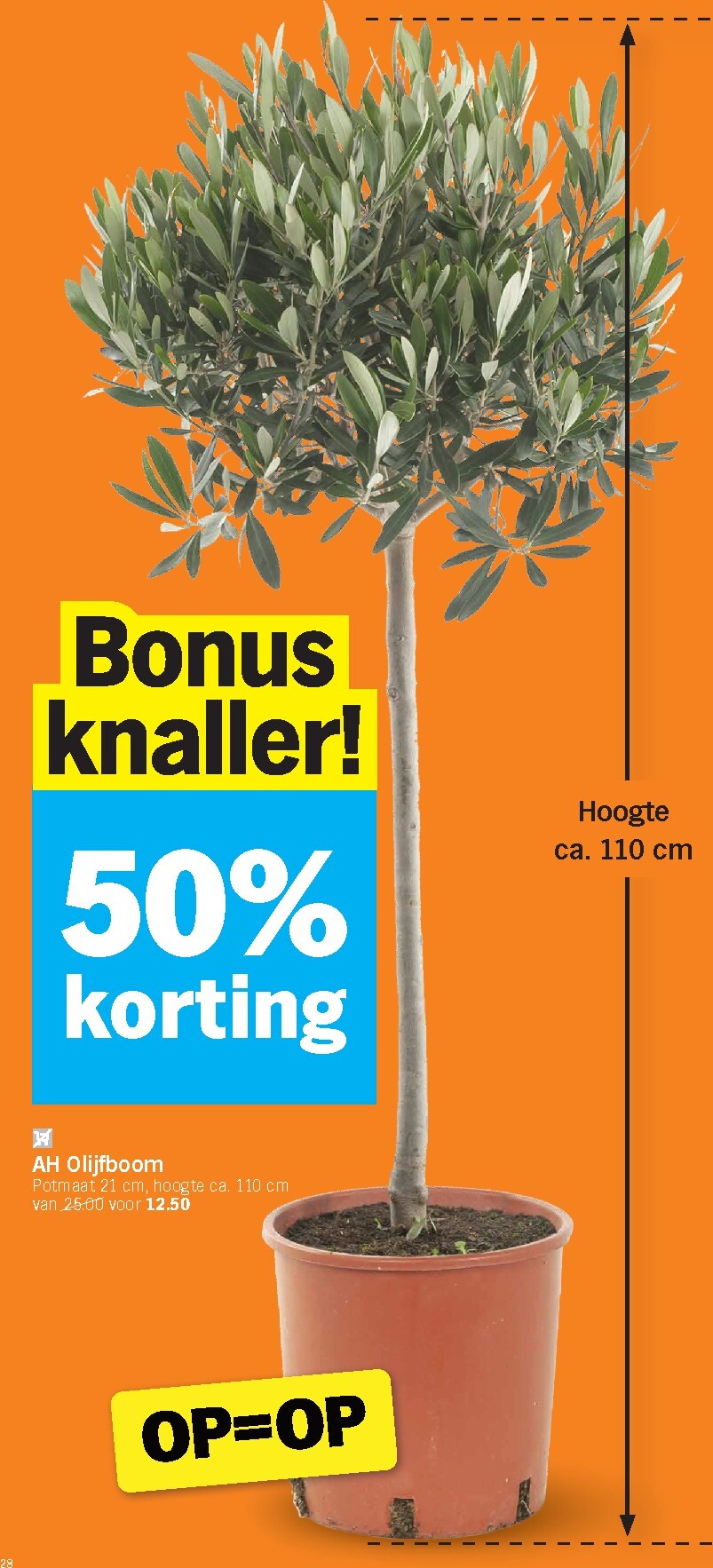 albert-heijn - De Albert Heijn folder geldig vanaf 02/03/2026 t/m 08/03/2026 - page: 28