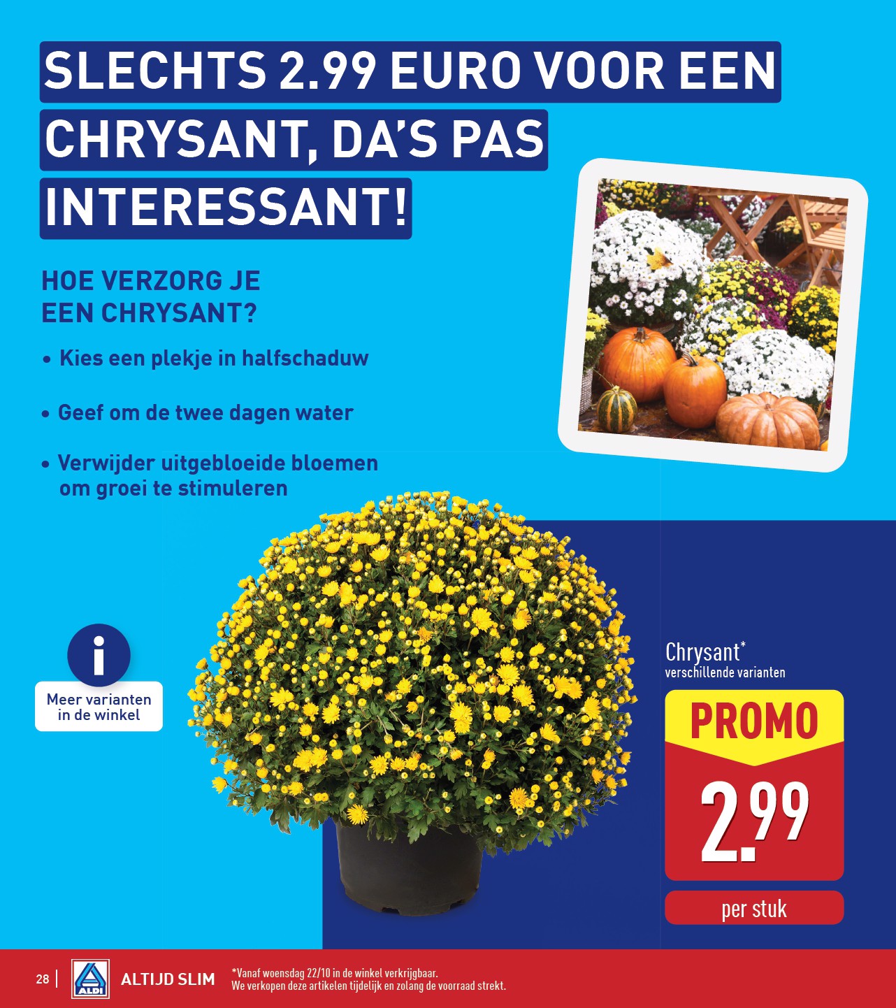 aldi - ALDI folder geldig vanaf 20/10 - 25/10 - page: 28