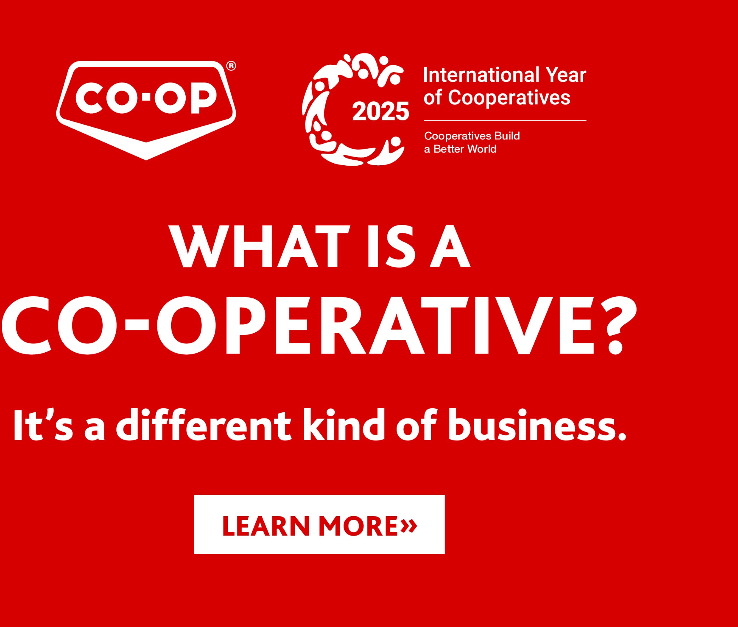 coop - Coop - Quick Deals flyer valid from 07-17 - 08-13 - page: 4
