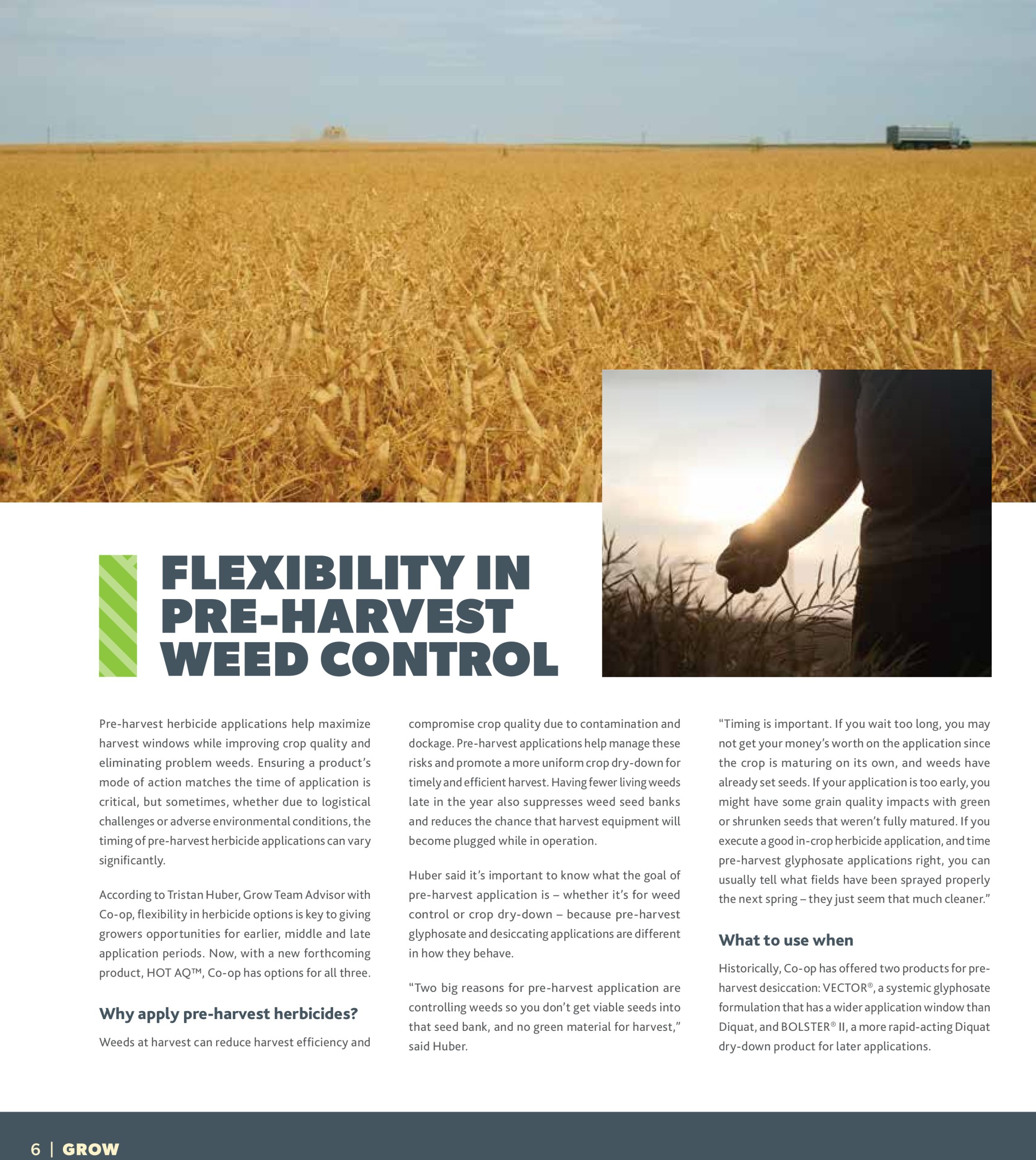 coop - Coop - Fall Agro Advisor flyer valid from 07-17 - 10-16 - page: 6