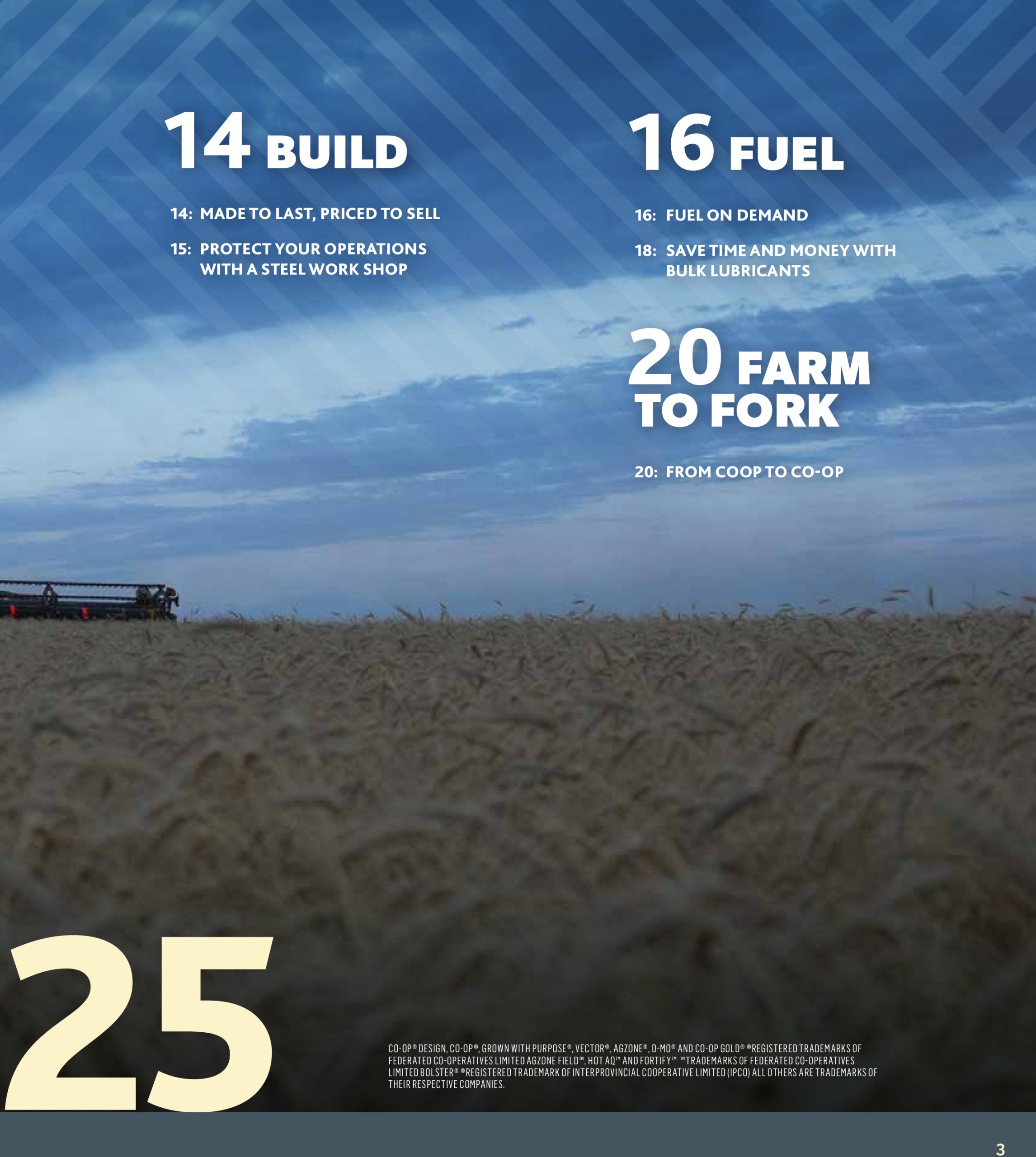 coop - Coop - Fall Agro Advisor flyer valid from 07-17 - 10-16 - page: 3