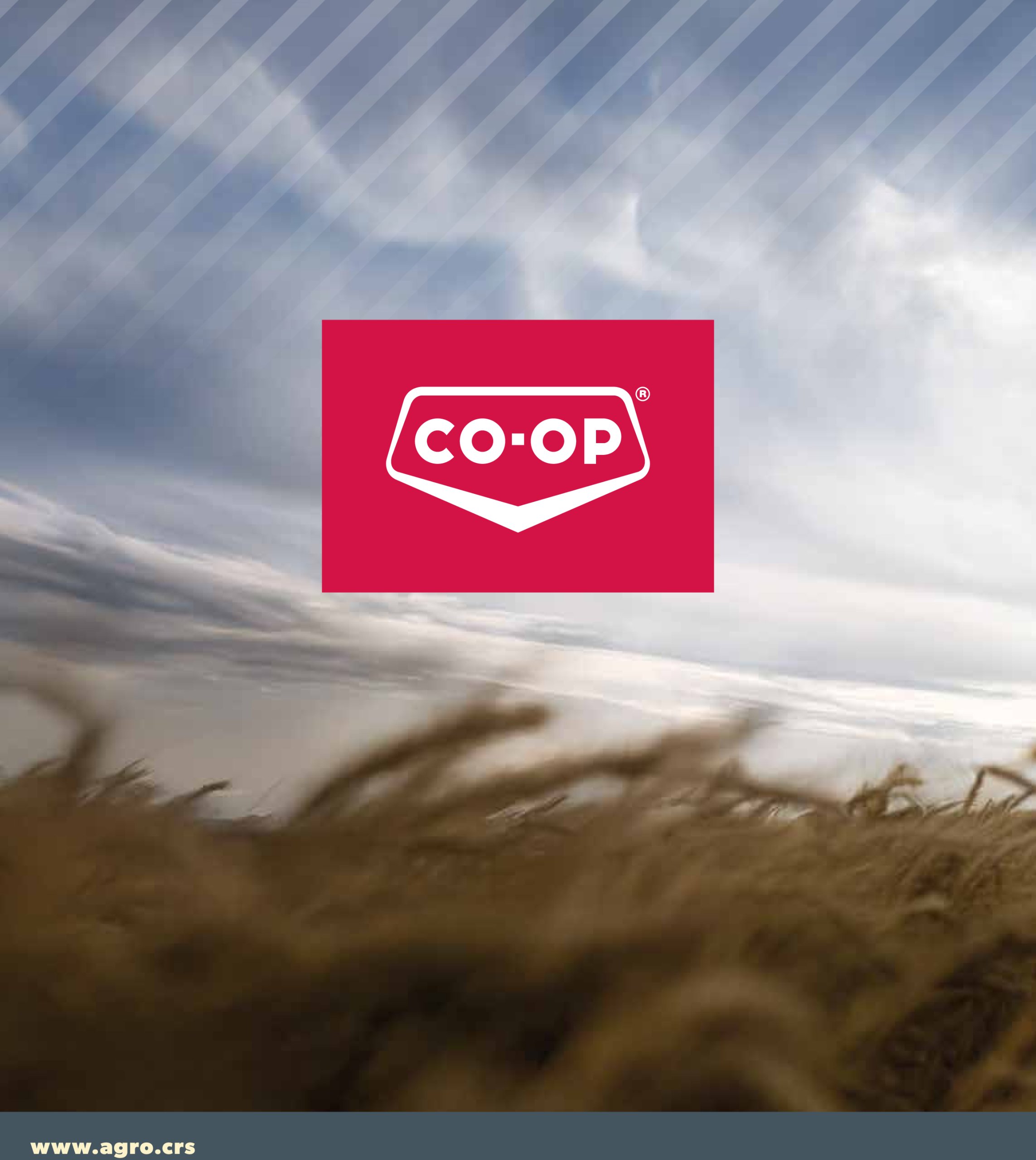 coop - Coop - Fall Agro Advisor flyer valid from 07-17 - 10-16 - page: 24