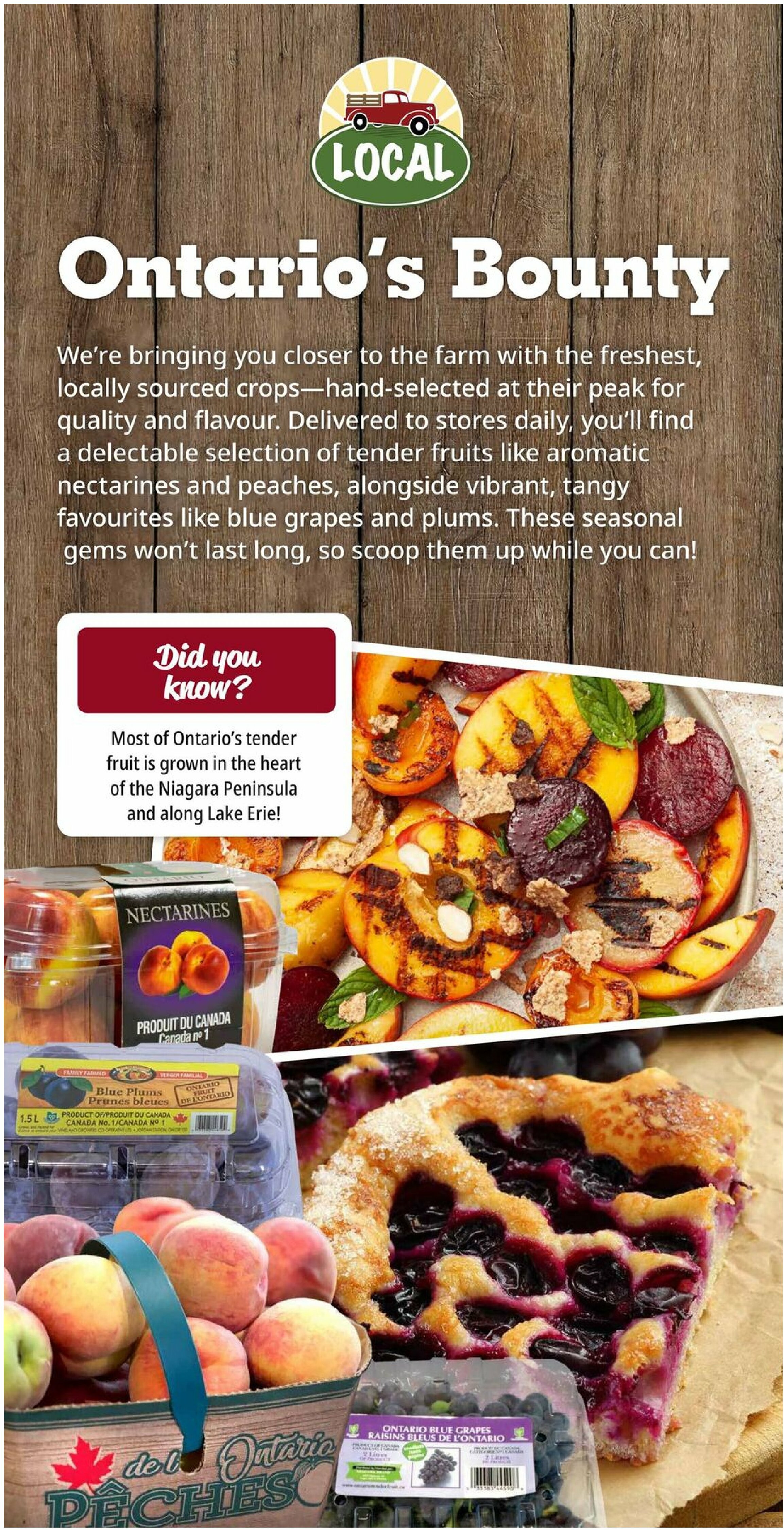 farm-boy - Farm Boy flyer valid from 08-28 - 09-03 - page: 8
