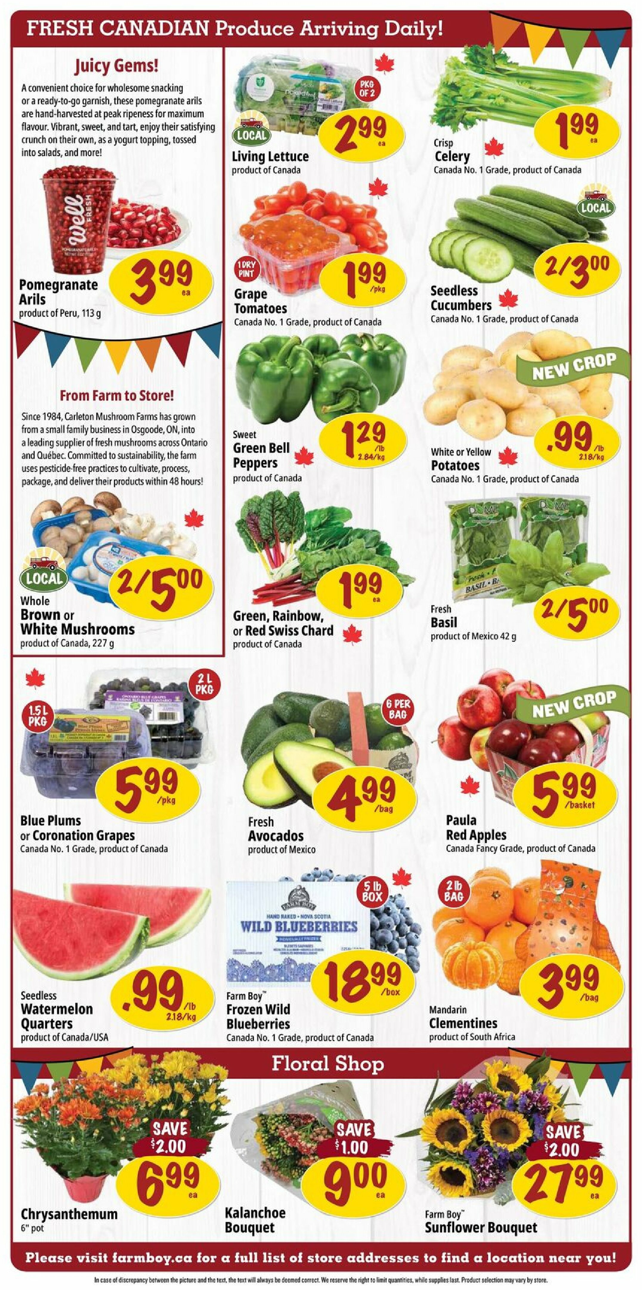 farm-boy - Farm Boy flyer valid from 08-28 - 09-03 - page: 4
