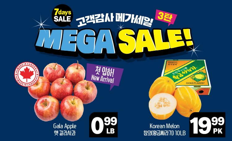 hannam-supermarket - Hannam Supermarket flyer valid from 08-14 - 08-20 - page: 11