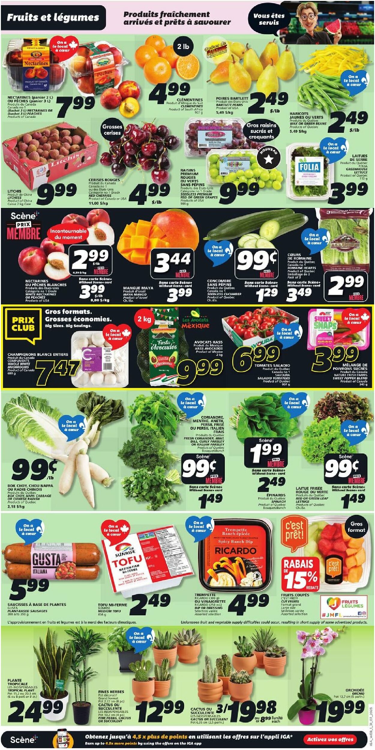 iga - IGA - Québec flyer valid from 07-31 - 08-06 - page: 3