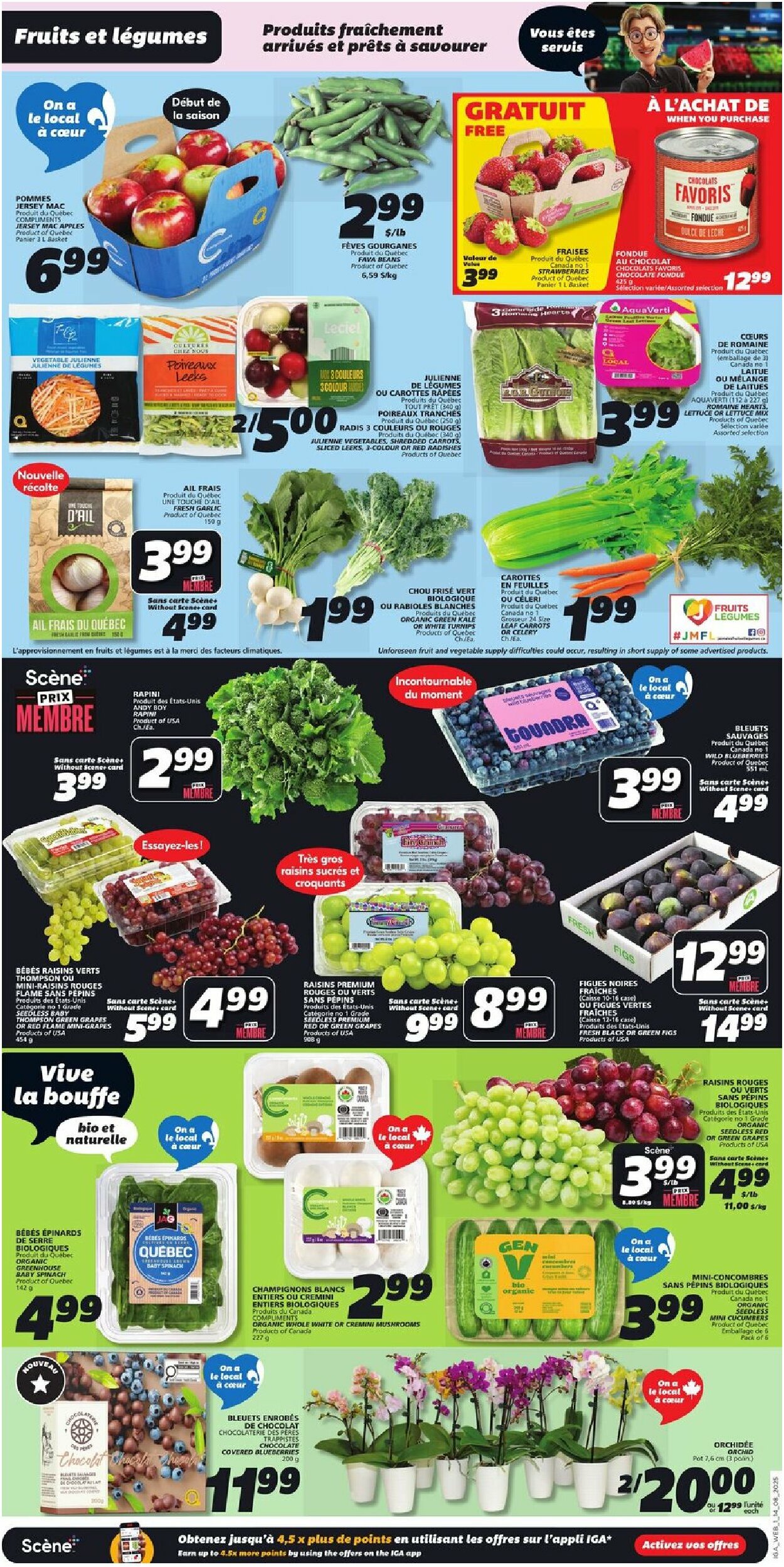 iga - IGA - Québec flyer valid from 08-14 - 08-20 - page: 3