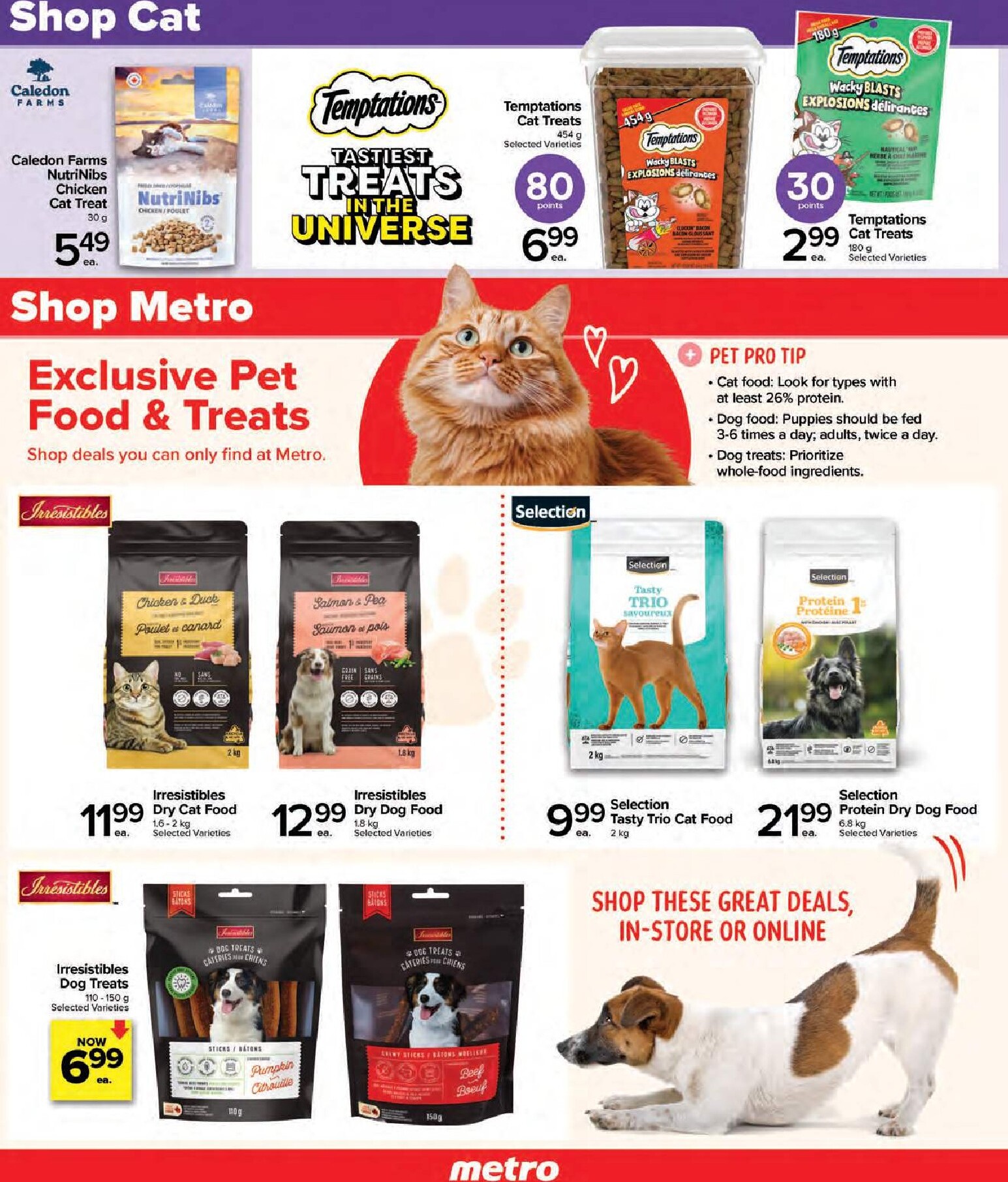 metro - New Metro - The Joy of Pets Flyer for This Week – 2026-06-11 to 2026-07-08 - page: 7