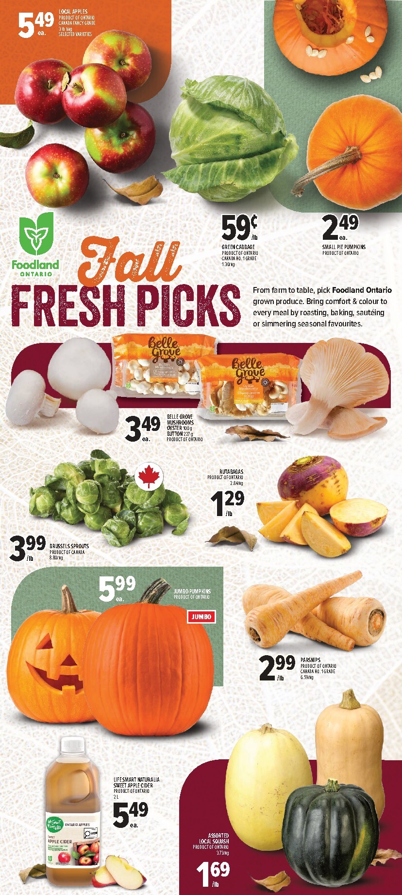 metro - New Metro - Weekly Flyer for This Week – 2026-09-24 to 2026-09-30 - page: 4