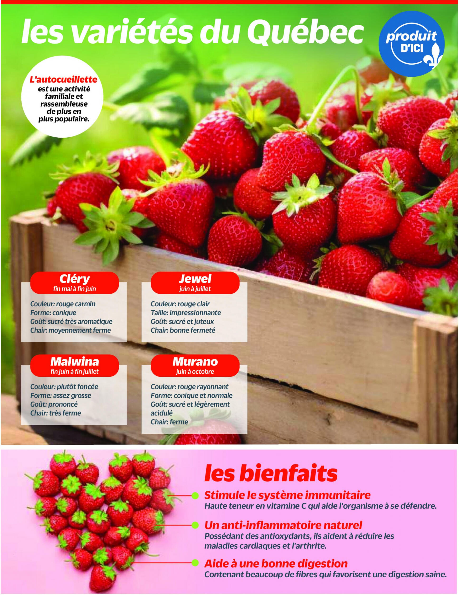 metro - Metro - Strawberries flyer current 27.06. - 03.07. - page: 5