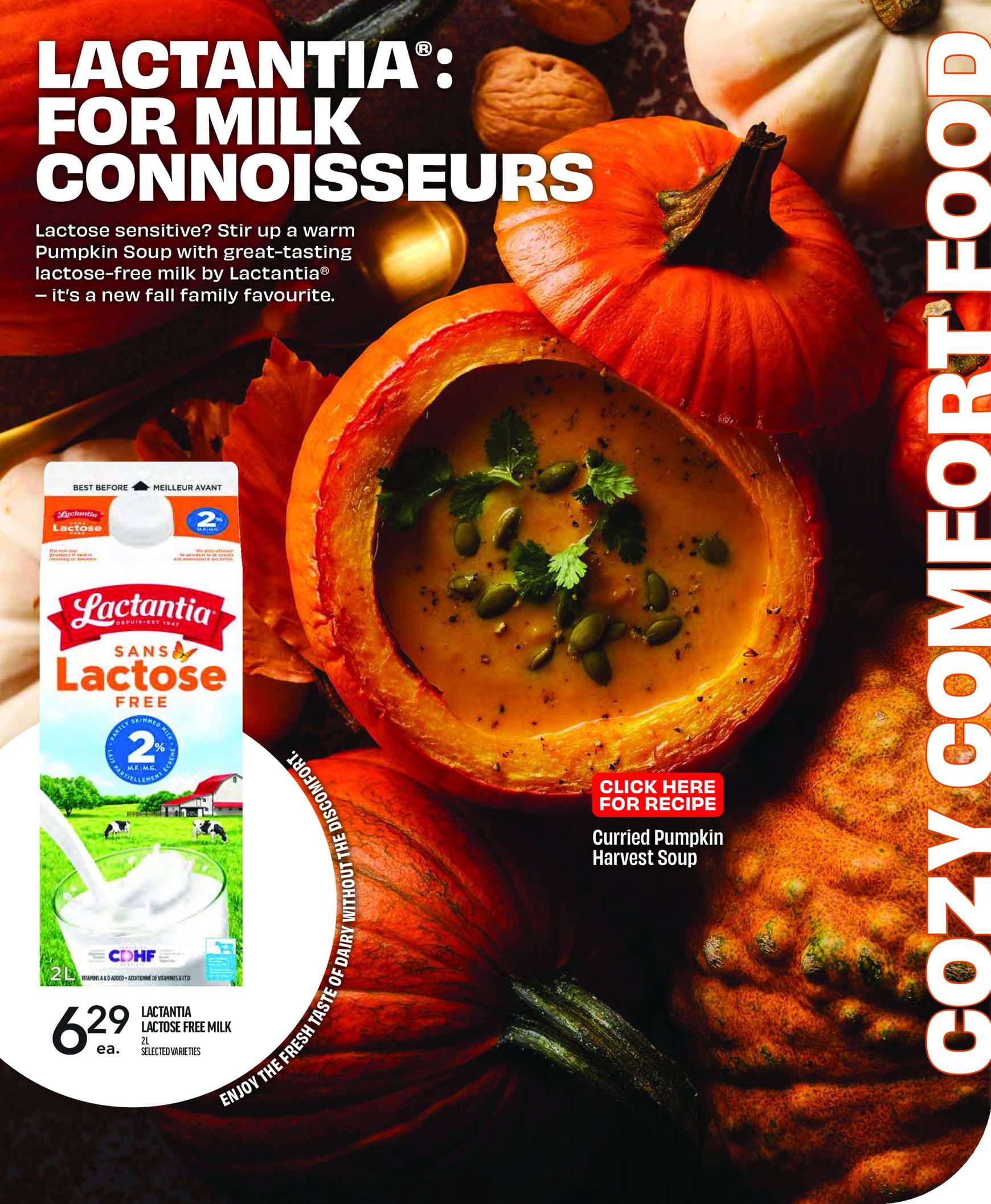 metro - Metro - Lactalis flyer valid from 17.10. - 30.10. - page: 2