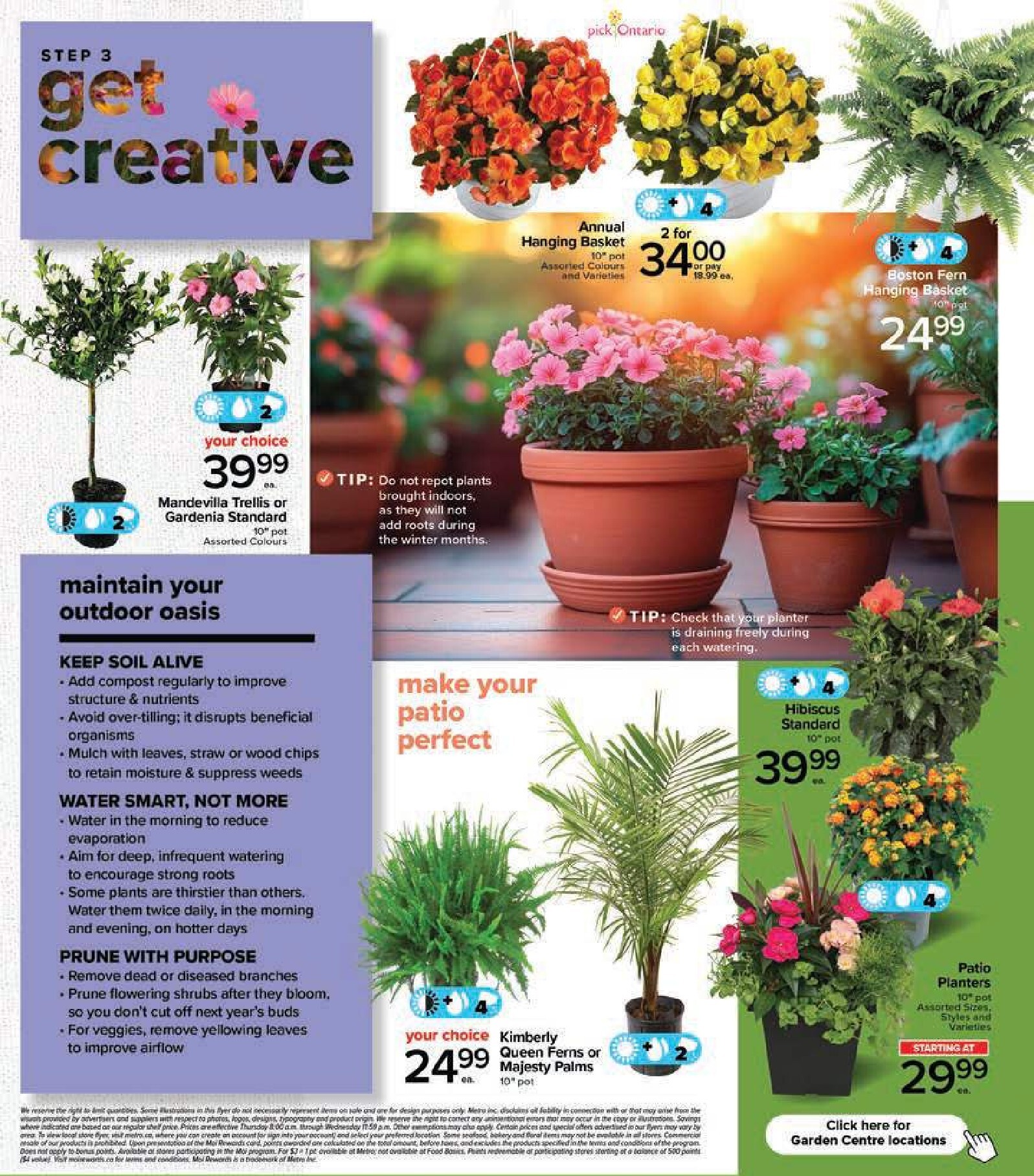 metro - New Metro - Garden Flyer for This Week – 2026-04-23 to 2026-05-21 - page: 4
