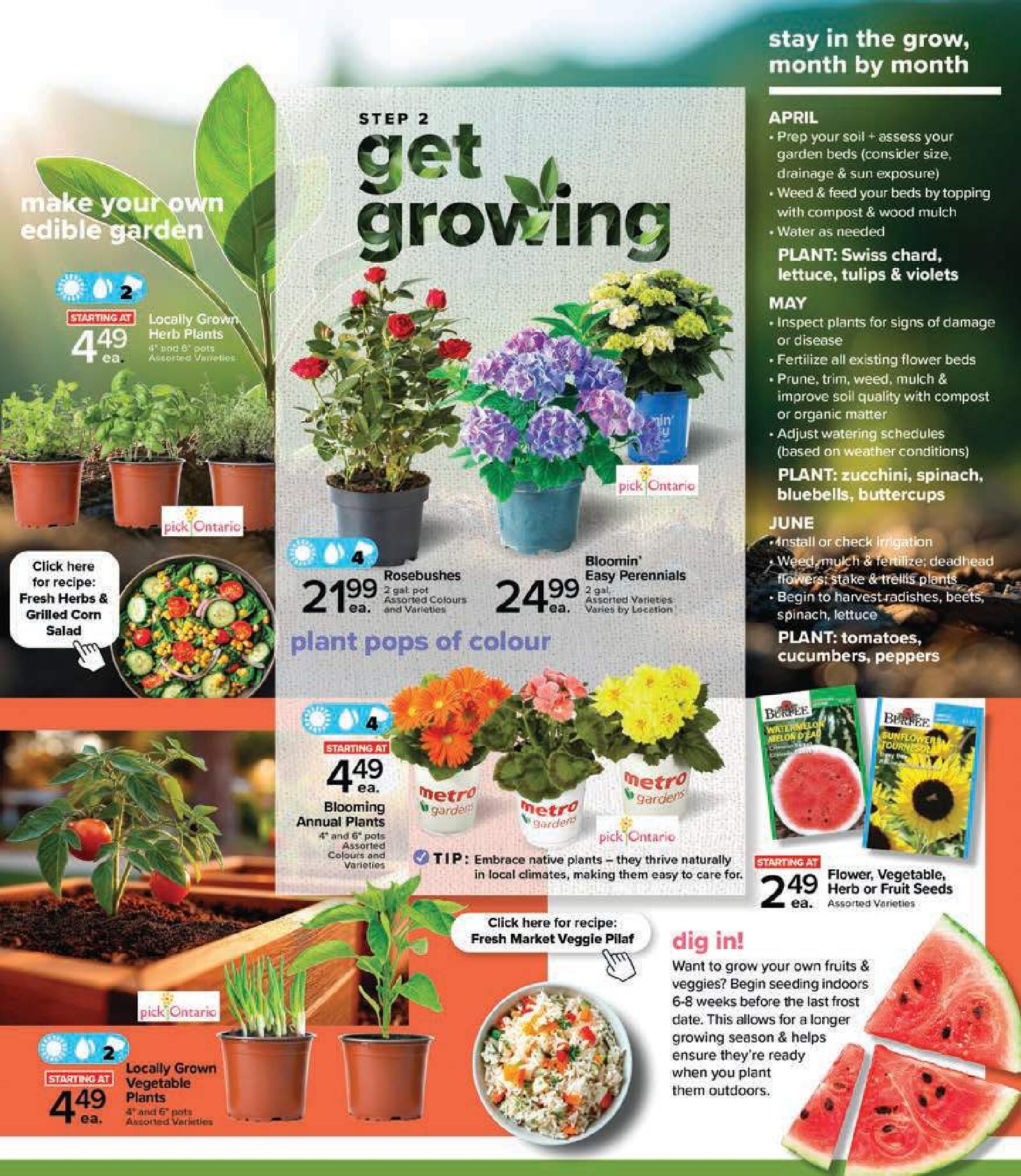 metro - New Metro - Garden Flyer for This Week – 2026-04-23 to 2026-05-21 - page: 3