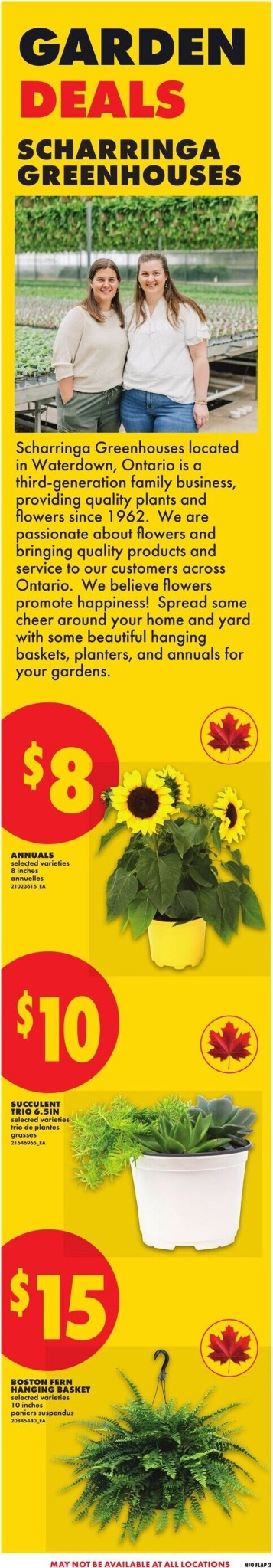 no-frills - New No Frills Flyer for This Week – 2026-05-28 to 2026-06-03 - page: 3
