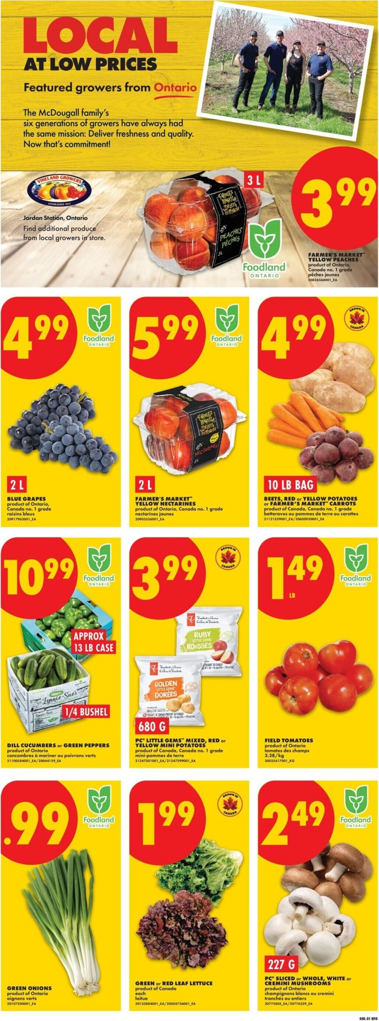 no-frills - New No Frills Flyer for This Week – 2026-08-20 to 2026-08-26 - page: 3