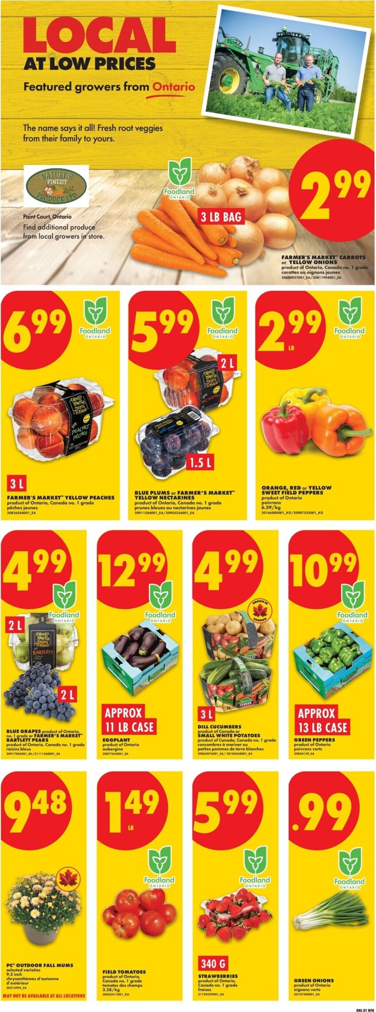 no-frills - New No Frills Flyer for This Week – 2026-08-27 to 2026-09-02 - page: 3