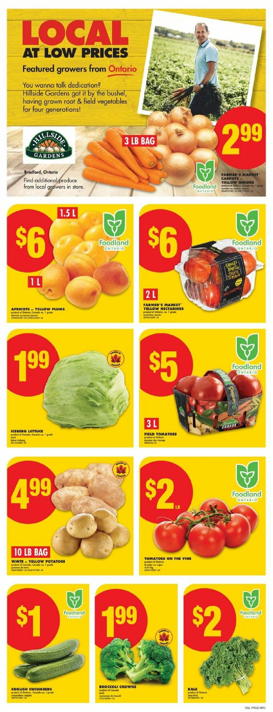 no-frills - No Frills flyer valid from 07-31 - 08-06 - page: 4