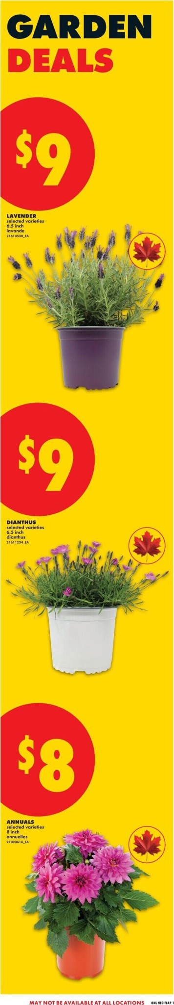 no-frills - New No Frills Flyer for This Week – 2026-04-30 to 2026-05-06 - page: 5