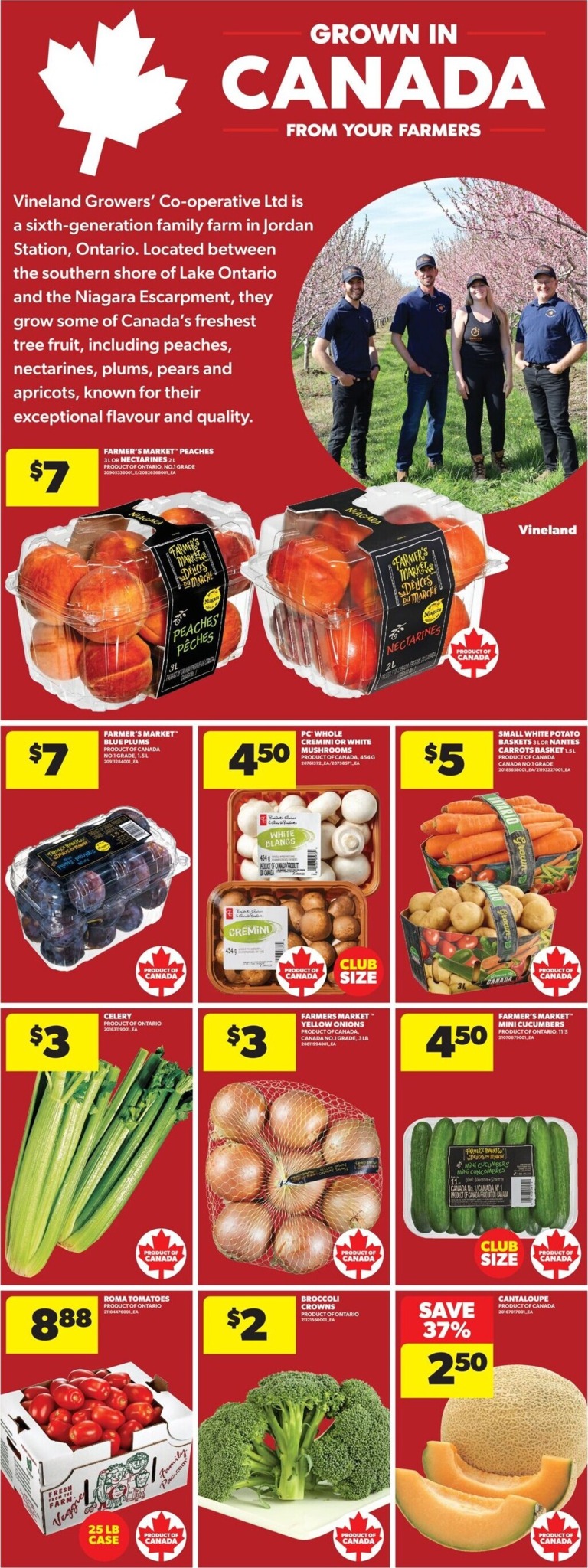 real-canadian-superstore - New Real Canadian Superstore Flyer for This Week – 2026-08-20 to 2026-08-26 - page: 14