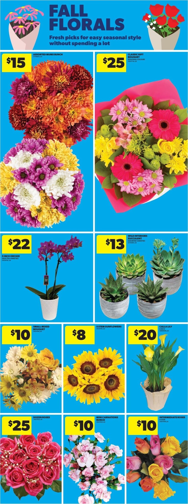 real-canadian-superstore - New Real Canadian Superstore Flyer for This Week – 2026-08-20 to 2026-08-26 - page: 16