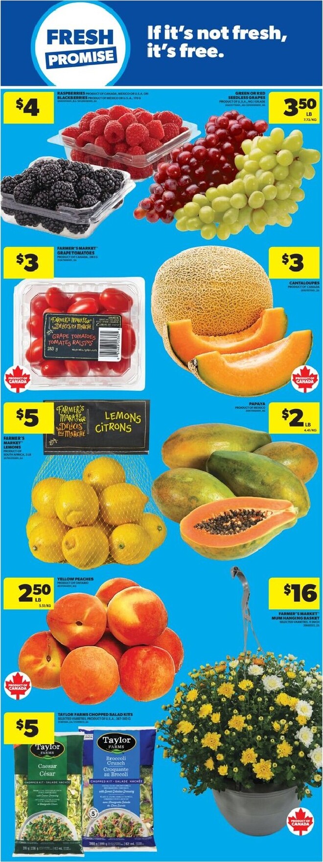 real-canadian-superstore - New Real Canadian Superstore Flyer for This Week – 2026-09-10 to 2026-09-16 - page: 9
