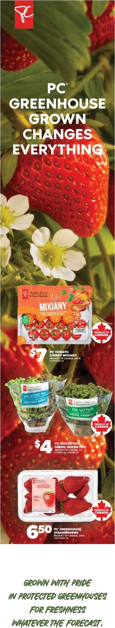 real-canadian-superstore - New Real Canadian Superstore Flyer for This Week – 2026-10-08 to 2026-10-14 - page: 4