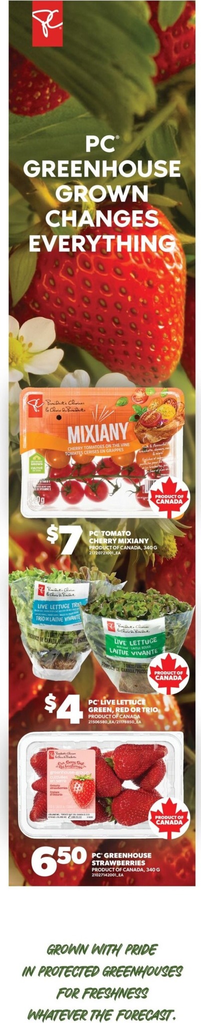 real-canadian-superstore - New Real Canadian Superstore Flyer for This Week – 2026-10-22 to 2026-10-28 - page: 5