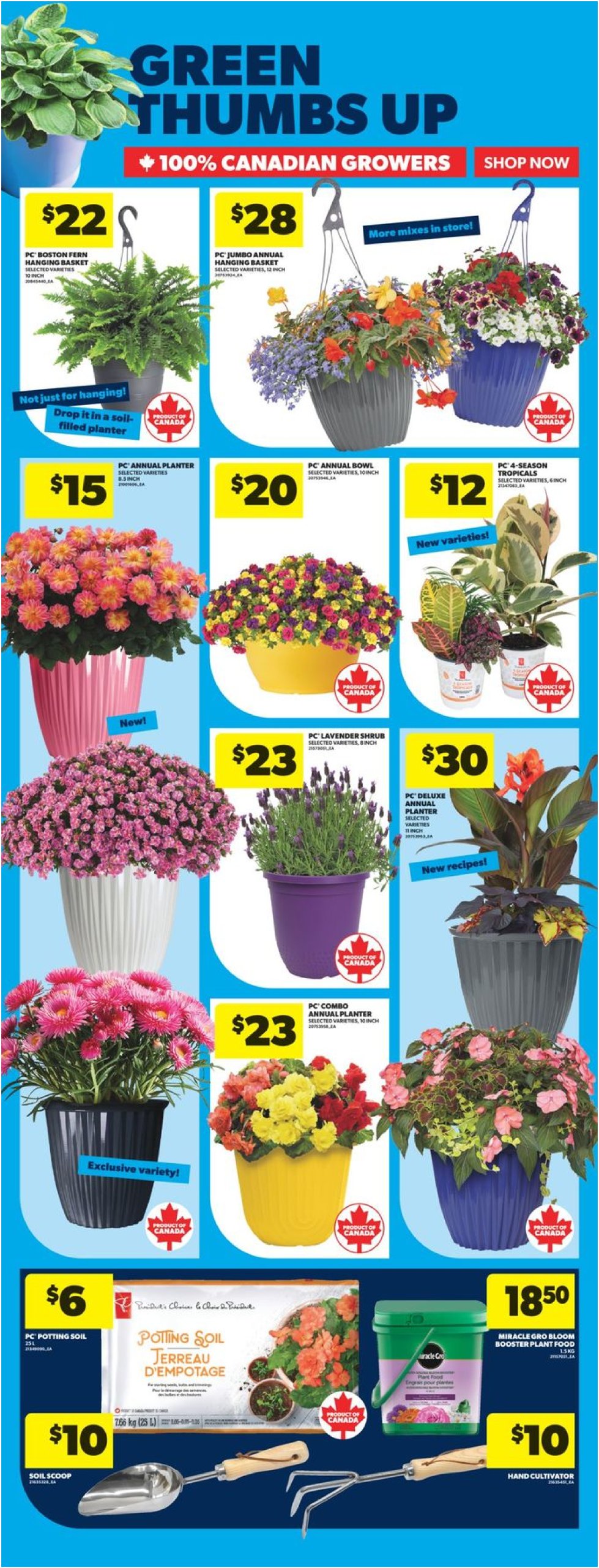 real-canadian-superstore - Real Canadian Superstore flyer valid from 05-22 - 05-28 - page: 41 real-canadian-superstore - Real Canadian Superstore flyer valid from 05-22 - 05-28 - page: 41