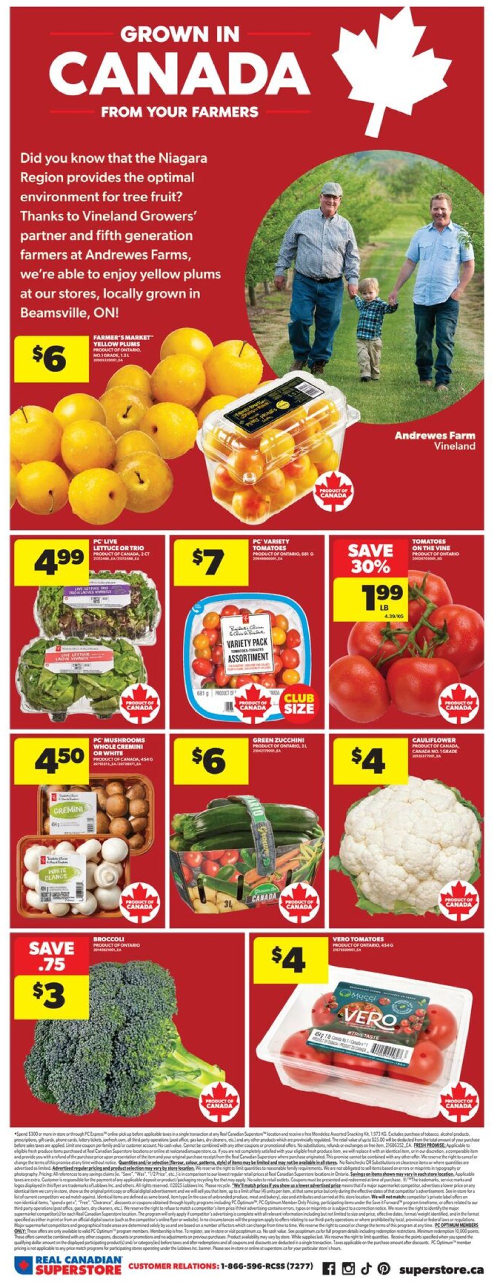 real-canadian-superstore - Real Canadian Superstore flyer valid from 07-17 - 07-23 - page: 6