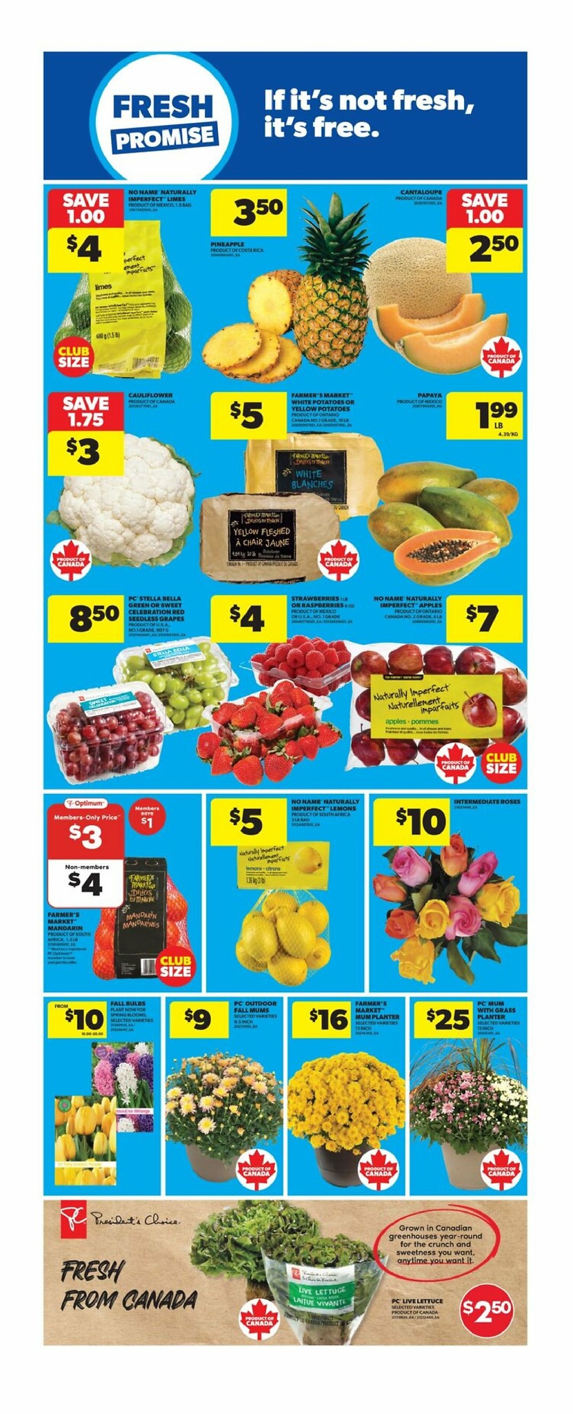 real-canadian-superstore - Real Canadian Superstore flyer valid from 09-04 - 09-10 - page: 12