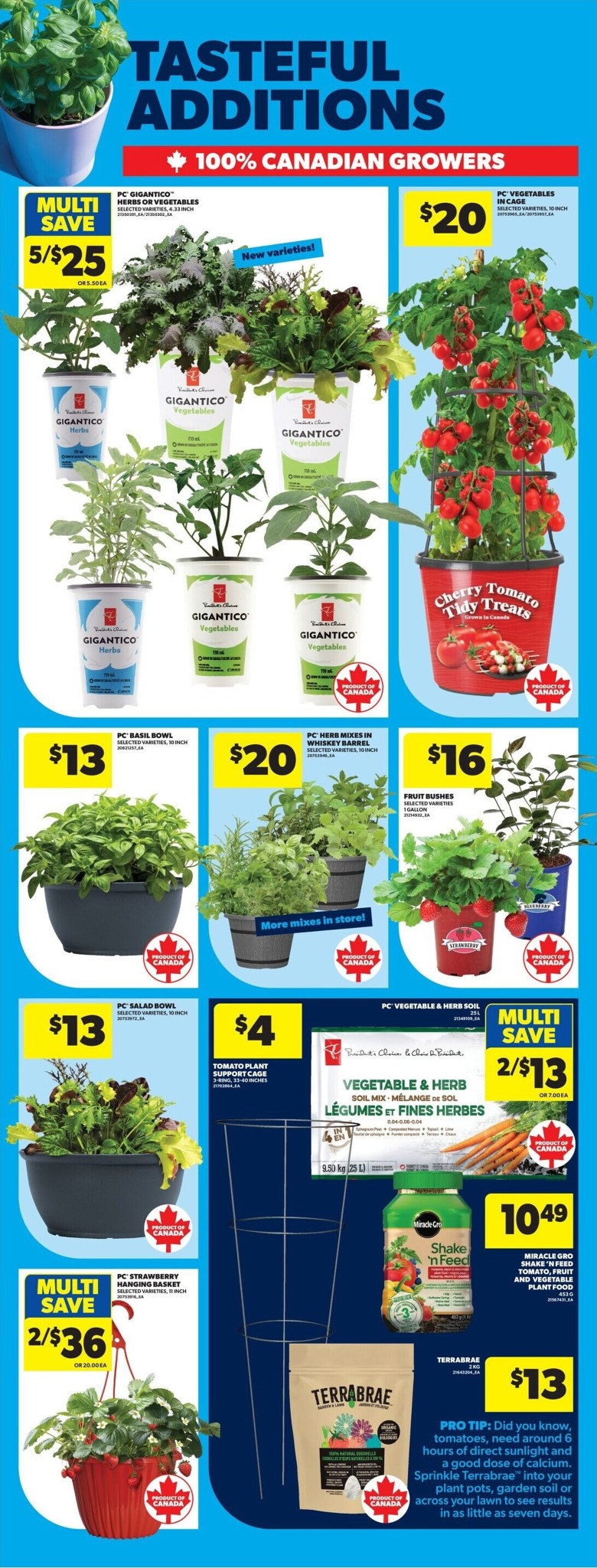 real-canadian-superstore - New Real Canadian Superstore Flyer for This Week – 2026-05-14 to 2026-05-20 - page: 49