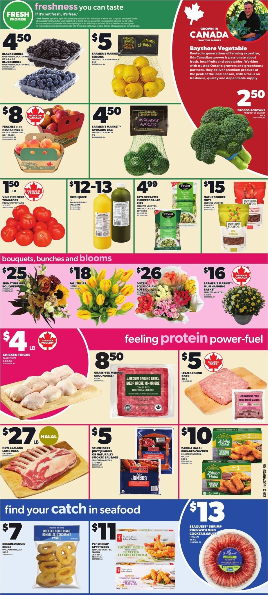 zehrs - New Zehrs Flyer for This Week – 2026-09-10 to 2026-09-16 - page: 3