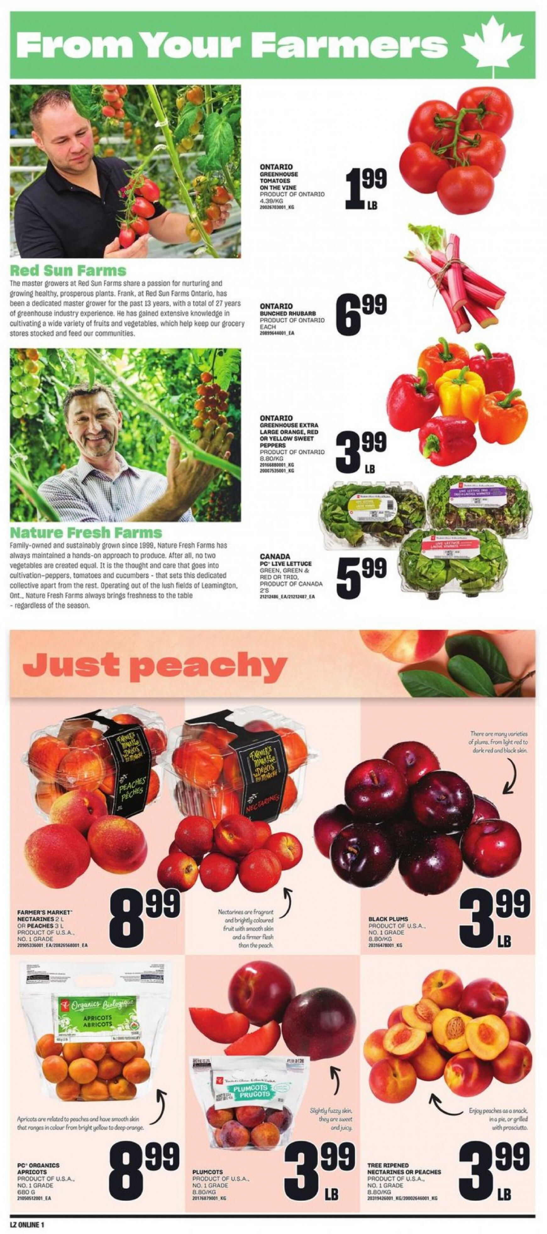 zehrs - Zehrs flyer current 20.06. - 26.06. - page: 9