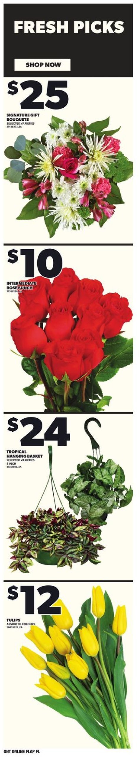 zehrs - Zehrs flyer valid from 01-09 - 01-15 - page: 11