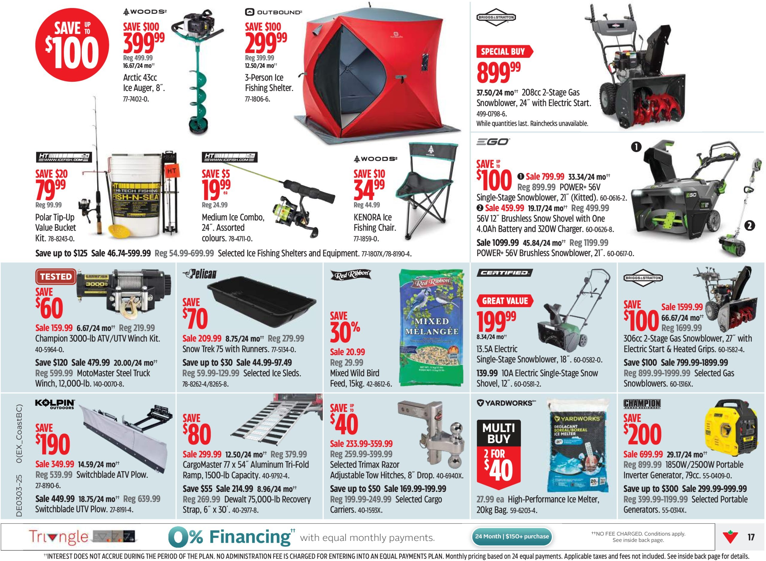 canadian-tire - Canadian Tire flyer valid from 01-09 - 01-15 - page: 17